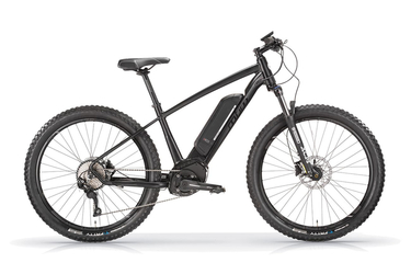 MBM Metis