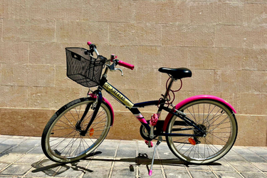 Btwin 24"