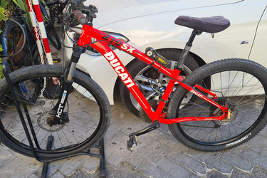ducati ducati  27,5
