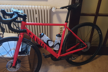 Canyon Endurace AL