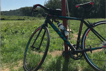 Scott Contessa Speedster 15