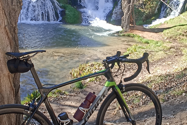 Giant TCR