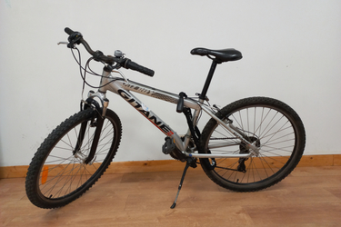 gitane pitz roy