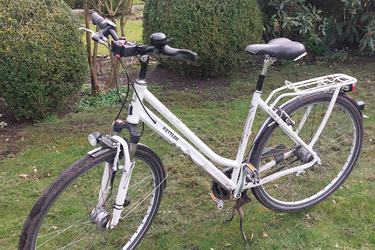 Kettler 28" Damen Fahrrad Layana Fun 8Gang Rücktritt RH57