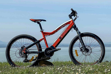 Ekletta Bumpy 24