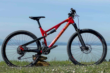 Focus Spine Carbon pro