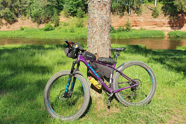 Trek Stache 7