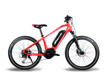 Fantic Junior24