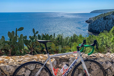 Focus Izalco Race 9.9 50/34 11/34 carbon