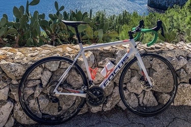 Focus Izalco Race 9.9 50/34 11/34 carbon