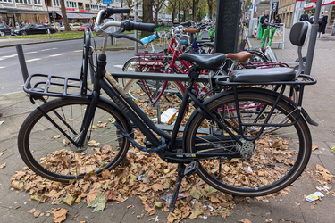 Gazelle Hollandrad