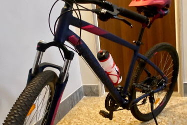 Rockrider St 120