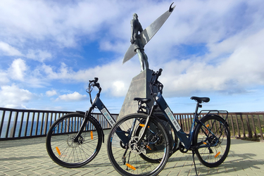 RODA E-bike Urban E-bike