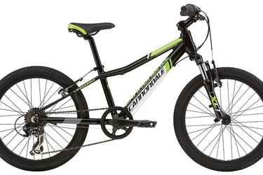 Cannondale Kids Trailer Bike