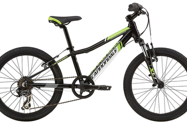 Cannondale Kids Trailer Bike