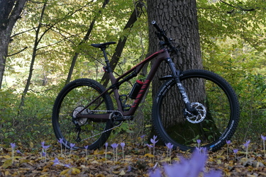 Canyon Lux Trail