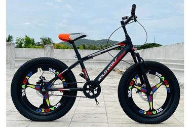 Prince Kids Bike