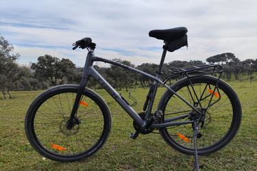 Trek Dual sport 2 (2023)