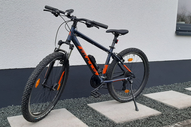 Bulls Pulsar