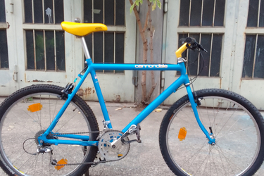 CANNONDALE ALPINE