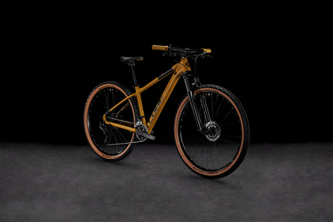 CUBE PRO MOUNTAIN PRO