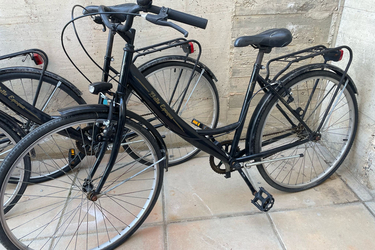 Citybike Bella epoque Bella epoque Easy Classic bike