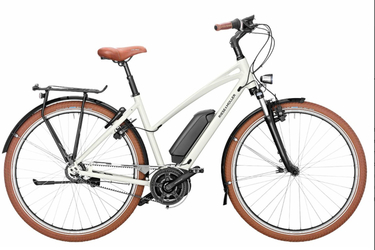 Riese & Muller Cruiser mixte