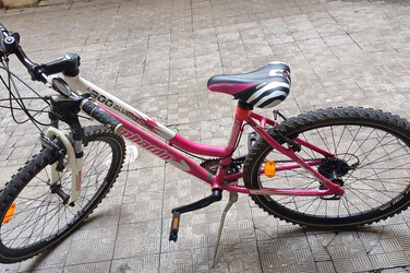 Lombardo Alverstone 300