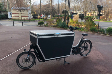 Urban Arrow XL