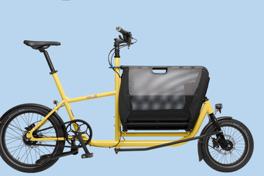 Muli-Cycles Muli Muscle