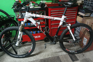 Rotwild R1