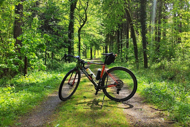 Wilier Rave Rave SLR