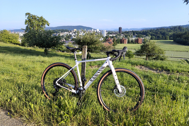 Canyon Grizl 5
