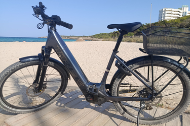 trek verve +4 lowstep