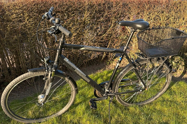 Pegasus Piazza Trekkingrad 28 Zoll