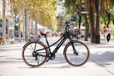 DesiFiets Plymouth