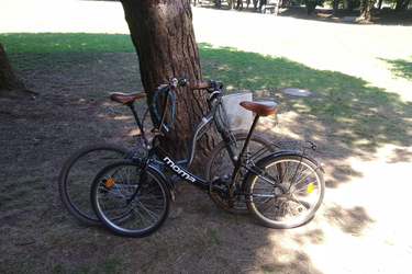 Bicicleta dobrável Light Moma