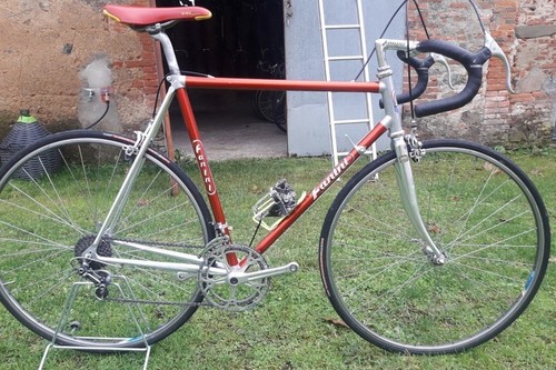 Noleggio FANINI Fanini Alan Rossa I L a Orentano-Pisa