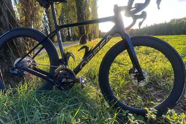 Orbea Terra