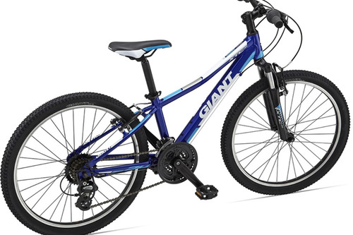 Giant Giant XTC Jr 1 24 Bike