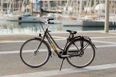 Gazelle Esprit