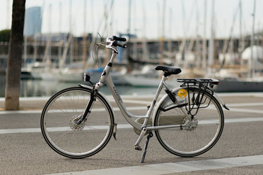 Gazelle Orange, MPB