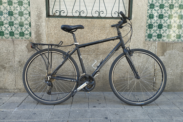 TREK FX