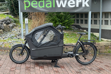Riese & Müller Packster2 70 Touring Buggy