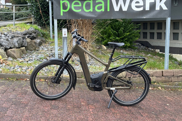 Riese & Müller Delite5 Pinion MGU