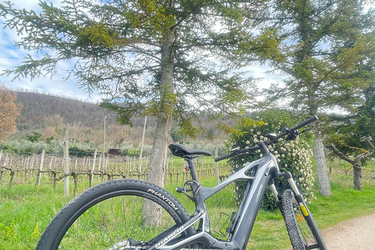 Bianchi E-Vertic X-Type