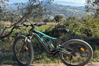 Bianchi E-Vertic X-Type