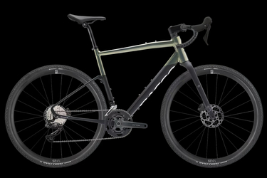 Basso Tera