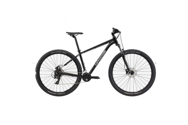 Cannondale Trail 29