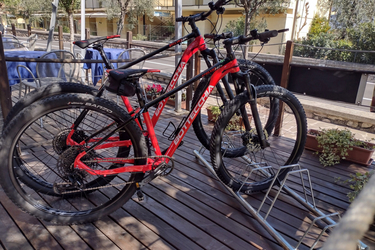 Bottecchia Stelvio